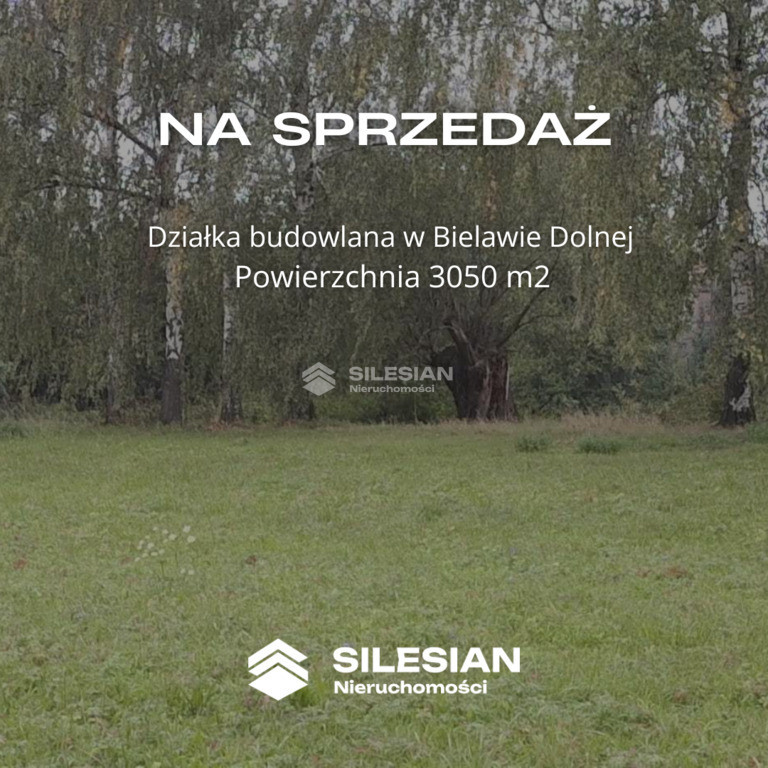 Działka Sprzedaż Bielawa Wodna