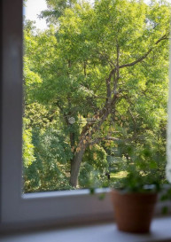 Mieszkanie Sprzedaż Świdnica park Generała Sikorskiego