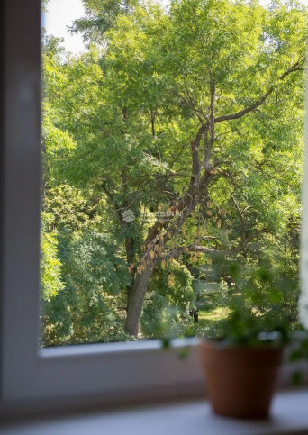 Mieszkanie Sprzedaż Świdnica park Generała Sikorskiego 26