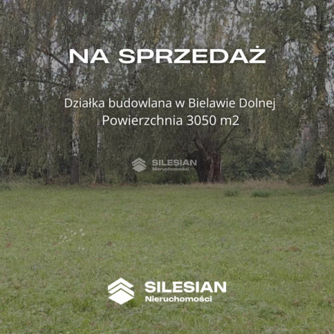 Działka Sprzedaż Bielawa Wodna 1