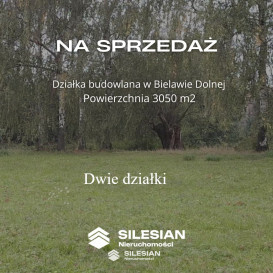 Działka Sprzedaż Bielawa Wodna